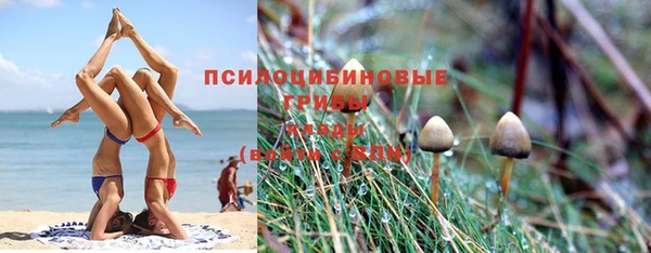 СК Алексин