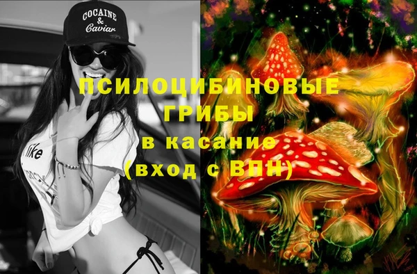 спиды Алексеевка