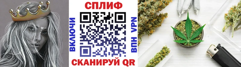 купить наркотики сайты Тобольск Бошки марихуана сатива